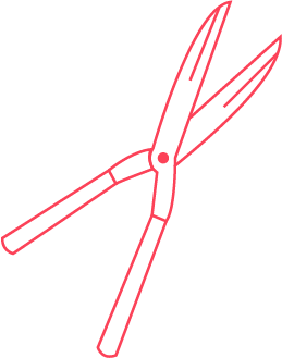 picto taille raisonnée